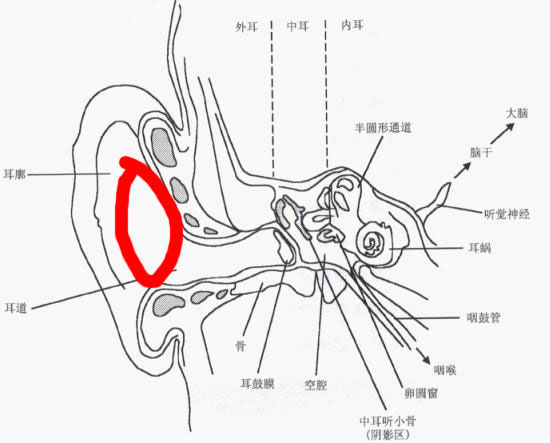 tws耳机音质差异